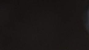 Una sola rata puede tener entre 15,000 y 18,000 crías en un año.