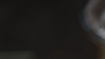 Una sola rata puede tener entre 15,000 y 18,000 crías en un año.