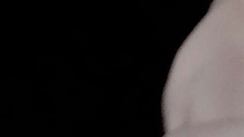 El voto latino fue un motor en el cambio.