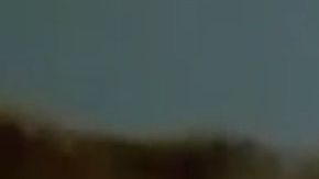 Este perrito fue abandonado en un contenedor de basura.