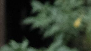 Sebastián Rulli protagoniza "El último dragón" / Foto: Televisa