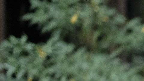 Sebastián Rulli protagoniza "El último dragón" / Foto: Televisa