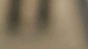 Muchas ocupaciones bien remuneradas están desapareciendo o son robotizadas./Shutterstock