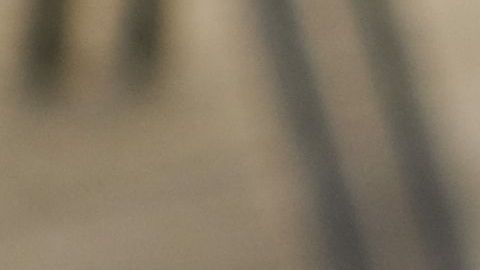 Muchas ocupaciones bien remuneradas están desapareciendo o son robotizadas./Shutterstock