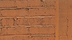 El equipo Jaguars Premier que viaja al puerto de Veracruz del 16 al 21 de diciembre. (Javier Quiroz / La Raza)