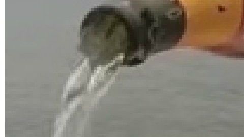 El evento es promovido por YouTube.