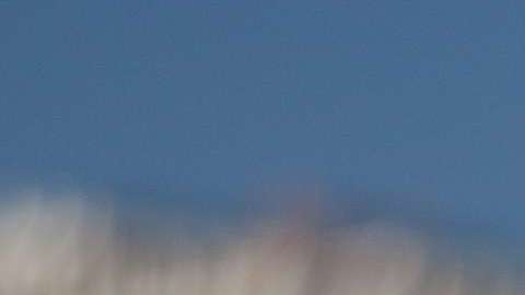 Los niños responden de manera muy diferente a la exposición al calor en comparación con los adultos, lo que significa que tienen un mayor riesgo de enfermedades por calor, especialmente los bebés.