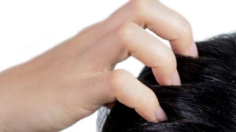 shutterstock_1017049933