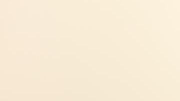 shutterstock_1017755320