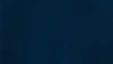 Lo primero será fijar los límites: no trabajar más de 40 horas a la semana./Shutterstock