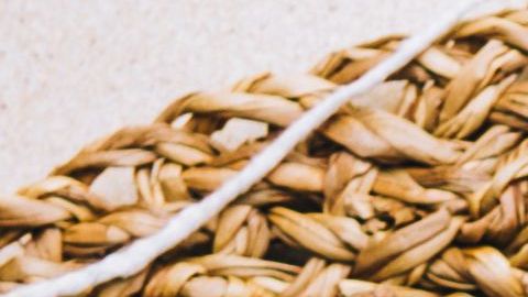 shutterstock_1176827764