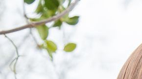 shutterstock_358751270