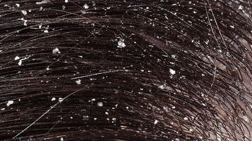 shutterstock_373934806