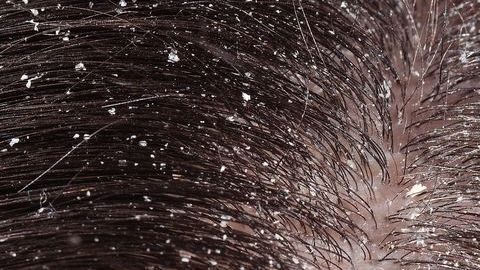 shutterstock_373934806