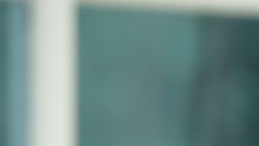 shutterstock_384225001