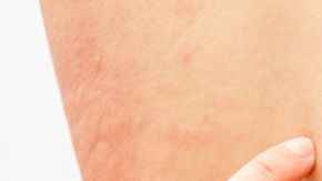 shutterstock_421337101