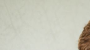 shutterstock_501766153