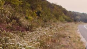 shutterstock_759434710