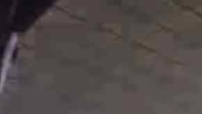 La mujer reveló que el mueble en la que apareció la imagen se lo regaló un vecino poco antes de morir.