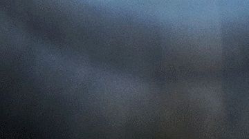 La babosa estaba infectada, lo que le provocó una grave enfermedad.