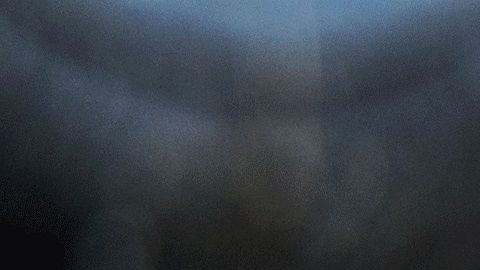 La babosa estaba infectada, lo que le provocó una grave enfermedad.