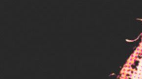 Stan Lee falleció a los 95 años.