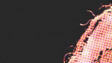 Stan Lee falleció a los 95 años.