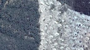 La tierra despejada dio a los investigadores una gran vista de los montículos.