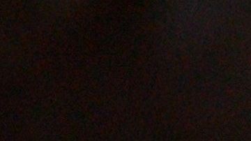 En NYC viven varias especies de murciélagos.