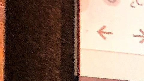 USCIS lanzó el viernes sus nuevos sistemas de búsqueda de información.