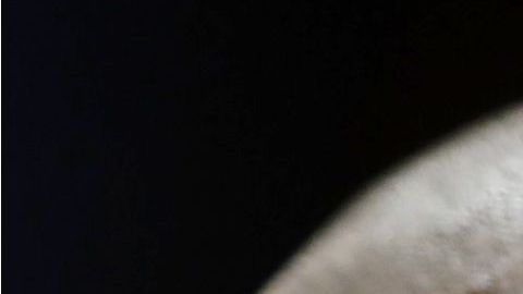 Ronald Vitiello fue nominado por Trump como director de ICE.