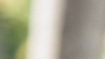 Los votantes de Florida dijeron sí a la propuesta para restaurar el voto a ex encarcelados.