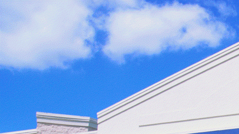 Pareja se casa en Walmart después de conocerse por un robo.