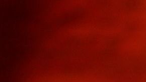 Ya no necesitarás más un número para agrandar tu lista de contactos.