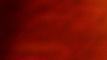 Ya no necesitarás más un número para agrandar tu lista de contactos.