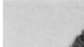 En 2013, Bulger fue condenado a dos cadenas perpetuas.