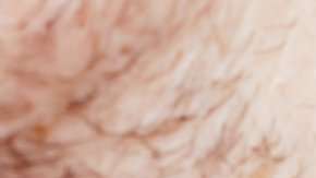 El acto de la conquista sexual, y la forma de llegar a tener sexo, cambia de país en país.