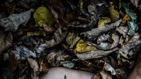 104146212_d7bf485c-922a-4476-be21-2ff69746f79c