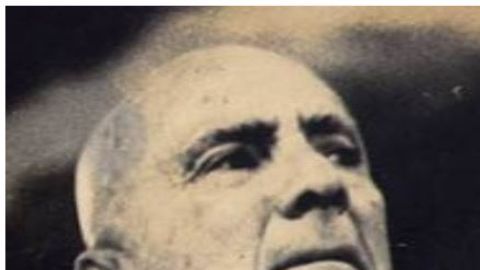 104421969_pelliceryamlo