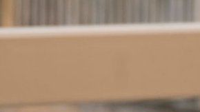 Los índices de aceptación de Bush padre en la presidencia alcanzaron el 90%.