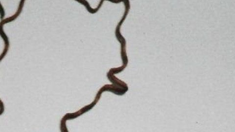 104586020_7b3a458c-fdf7-4b64-9549-95127a5af9c7