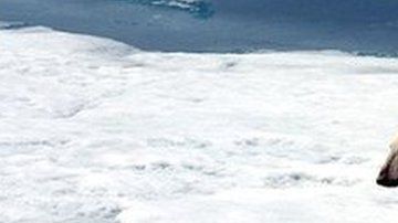 Las temperaturas del planeta sufren un cambio acelerado.