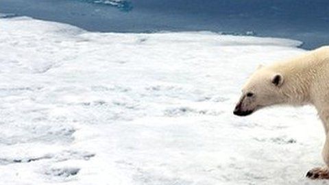 Las temperaturas del planeta sufren un cambio acelerado.