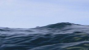 El Ártico es una de las regiones afectadas por el cambio climático.