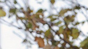 Anne Wojcicki confundó "23andMe" en 2006.