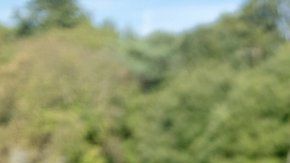 Liviu muestra el implante en su tórax que incluye brújula y conexión Bluetooth.