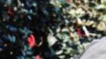 104694914_ramiro_boy976