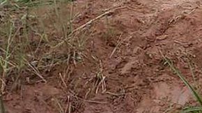 Esta foto de Tiago con dos jaguares se volvió viral.