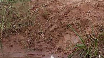 Esta foto de Tiago con dos jaguares se volvió viral.