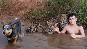 Esta foto de Tiago con dos jaguares se volvió viral.